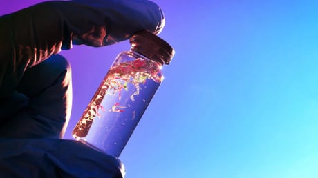 A mikroműanyag veszélybe sodorja az óceánok klímavédő szerepét