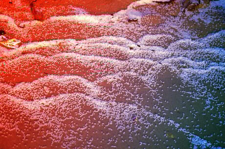 A mikroműanyagok rejtett inváziója: vizeink veszélyben