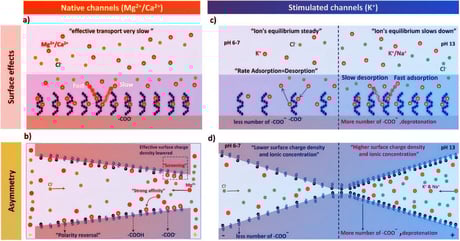 A nanocsatornák feltárják az agy emlékezetének titkát