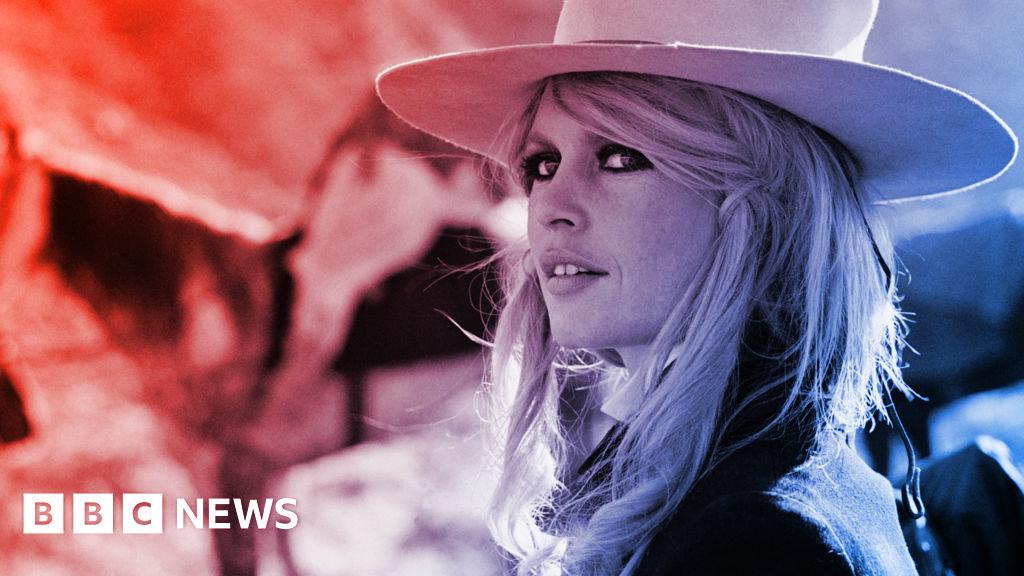 A netes csalók prédája lett Brigitte Bardot öröksége