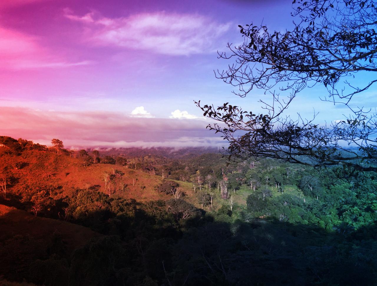 A nitrogén felturbózza az erdők növekedését – de mi az ára?