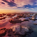 A titokzatos féreg, amely átírja a Nagy Sós-tó történetét