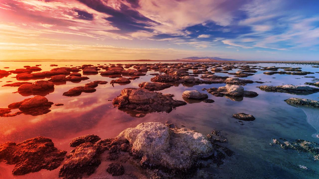 A titokzatos féreg, amely átírja a Nagy Sós-tó történetét