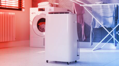 A tökéletes otthoni párátlanító: erre figyelj vásárlás előtt