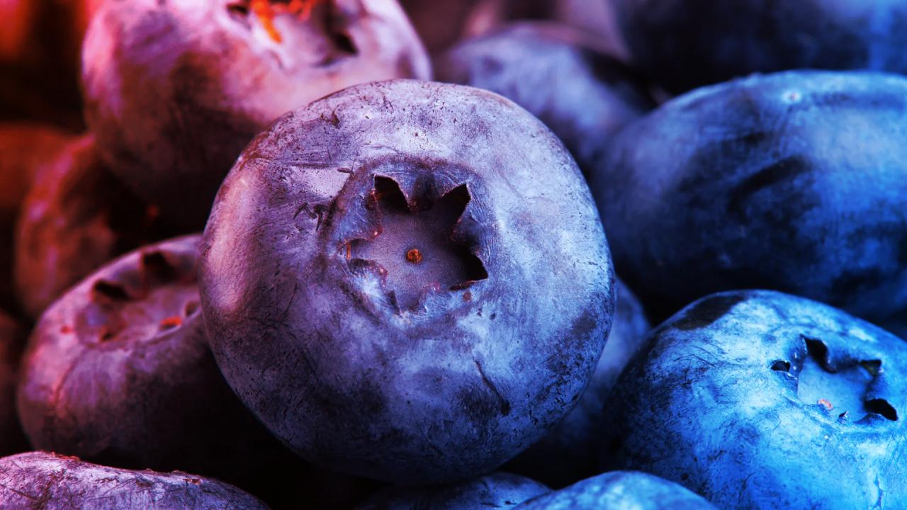 A vadáfonya, a szupersztár: a szív és az agy őre