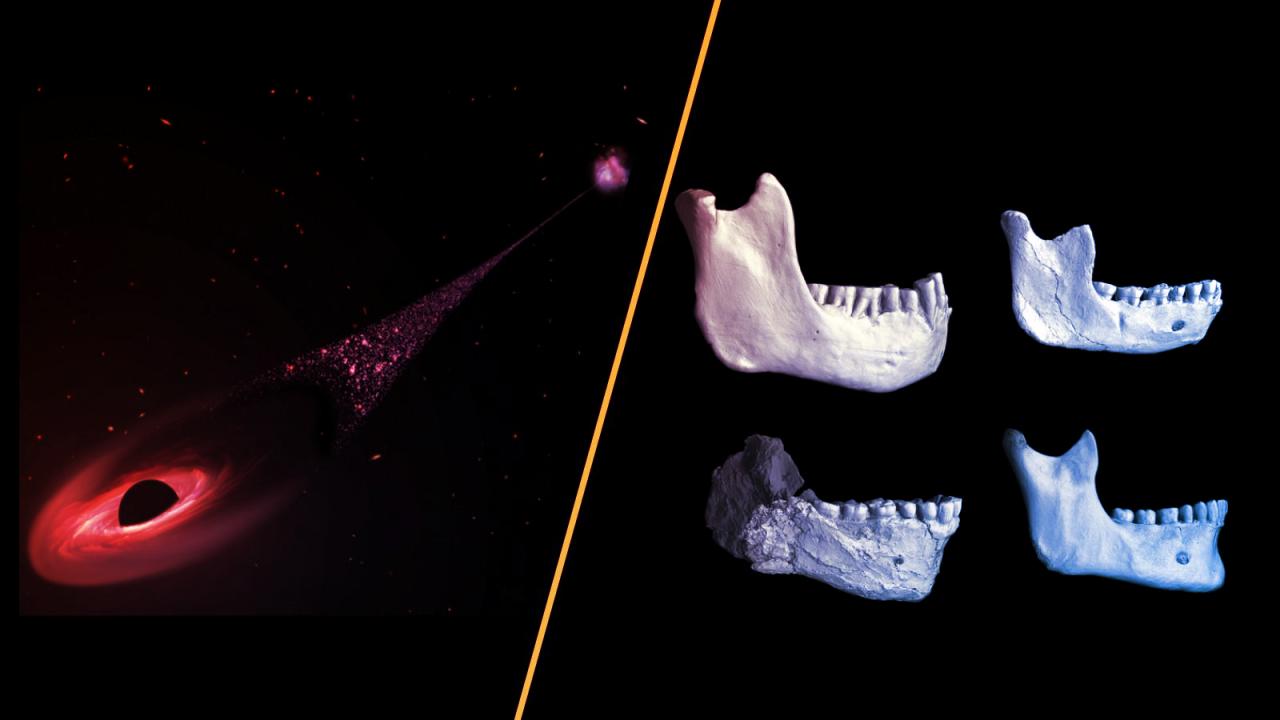 A vakcinabotrány és az elszabadult fekete lyuk viharos hete