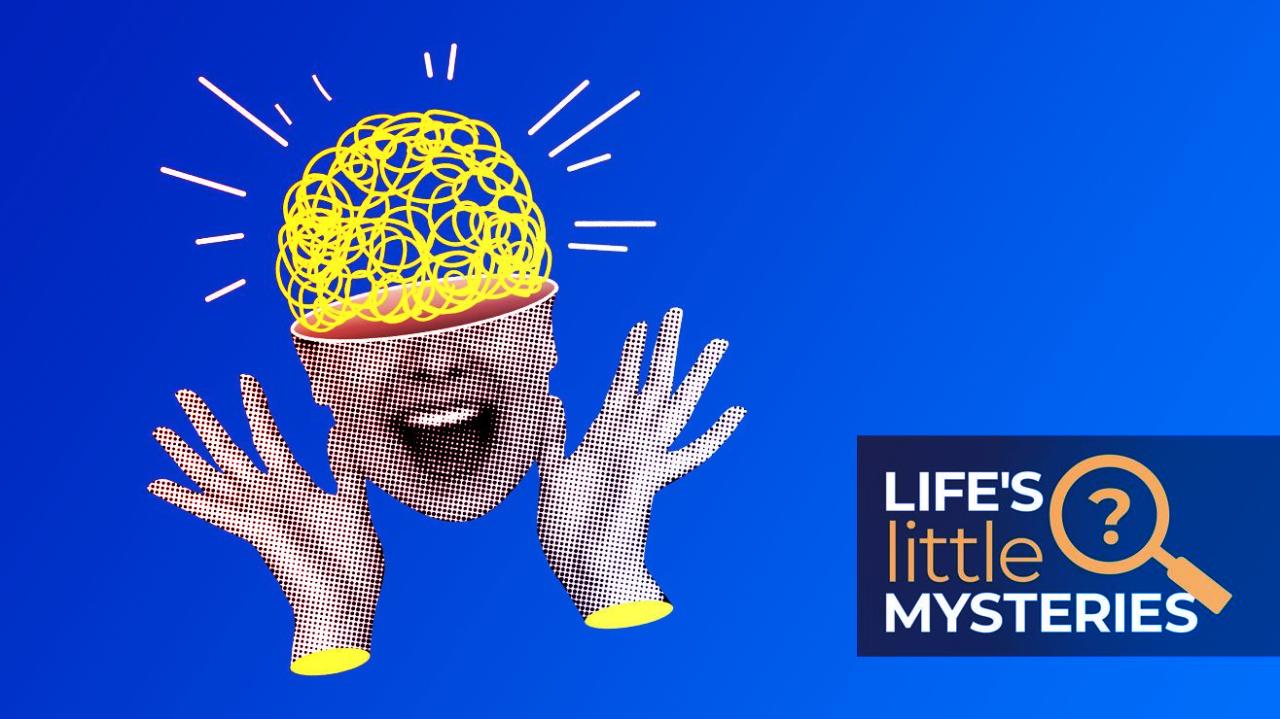 Az 50 legmegdöbbentőbb tudományos tény a világról