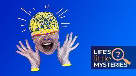 Az 50 legmegdöbbentőbb tudományos tény a világról