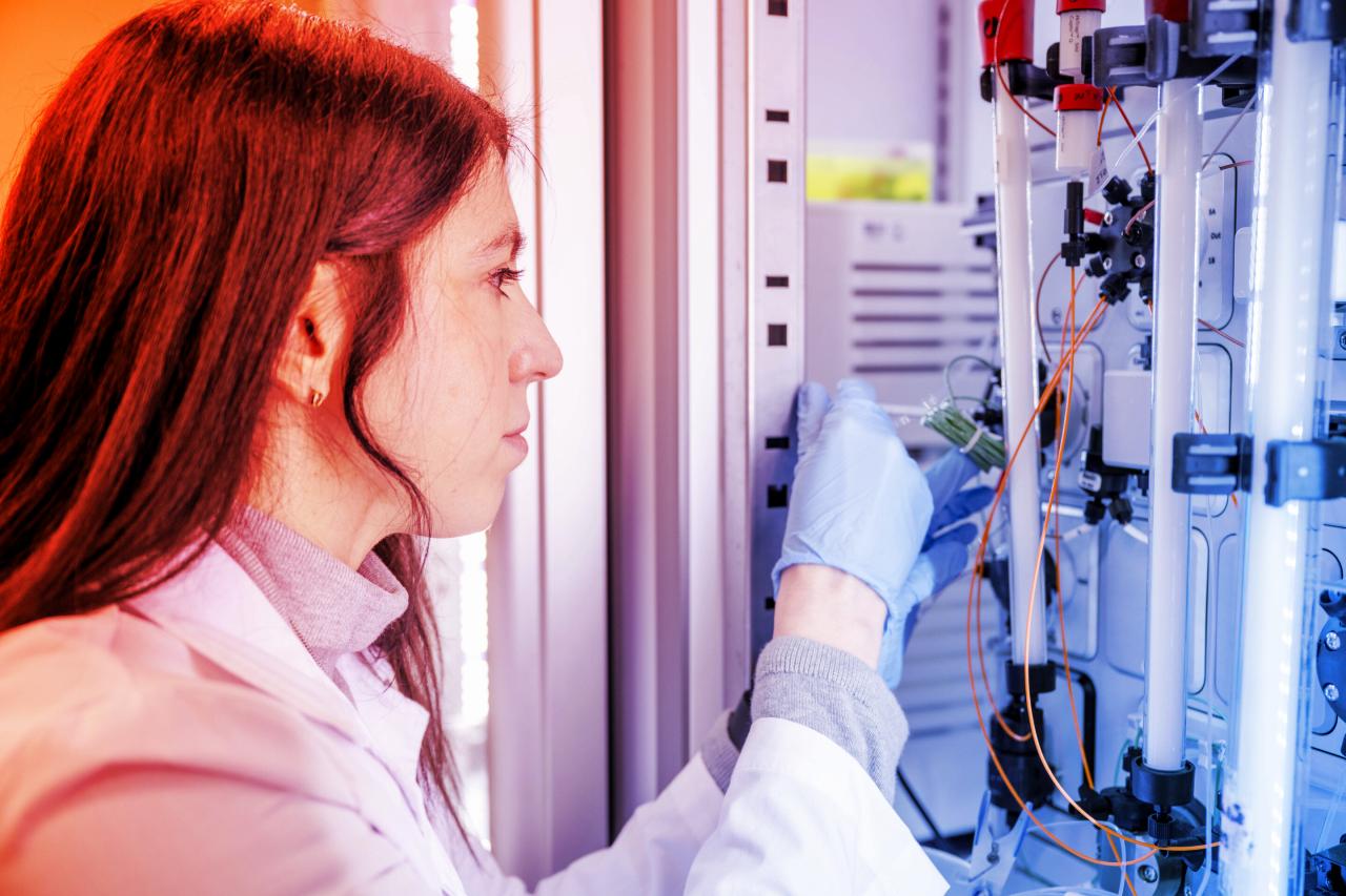 Az agy takarítói: áttörés az öregedés lassításában?