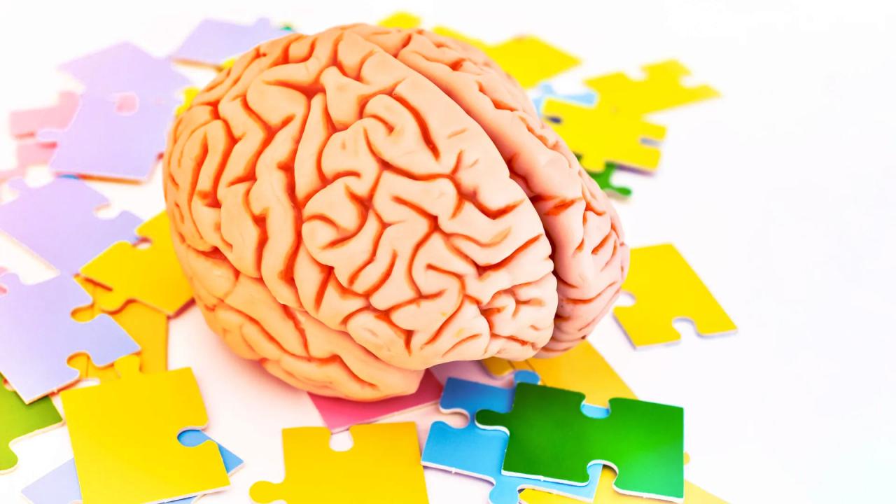 Az agy titkos fegyvere: így lesz gyerekjáték a mozgás