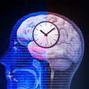 Az agy titkos időzítője: ezért gondolkodsz másképp