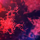 Az agyevő amőbák: a következő globális rémálom