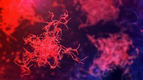 Az agyevő amőbák: a következő globális rémálom