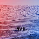 Az amerikai ritkaföldfém-álom szertefoszlik: Grönlandon esélytelen a kitermelés