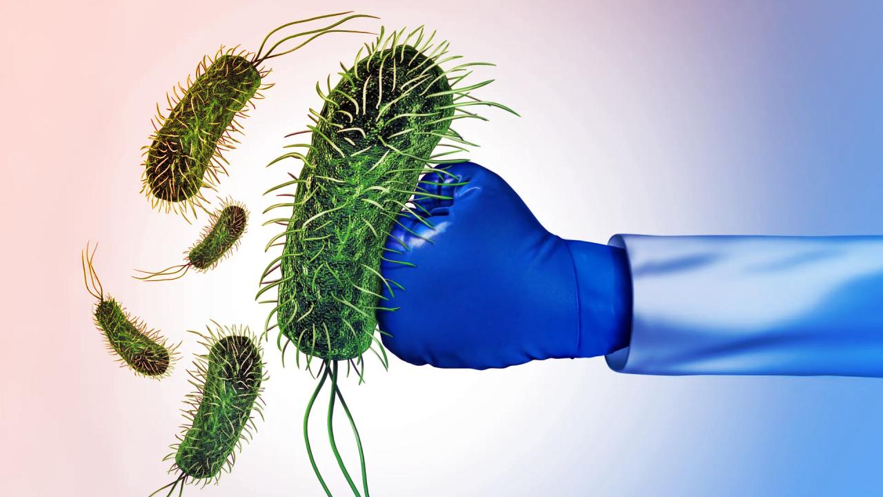 Az antibiotikumok valódi ereje: melyik öl, melyik csak fékez?