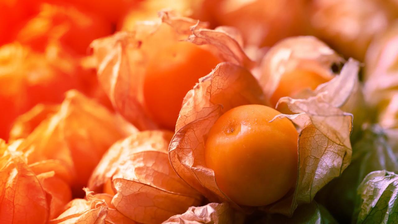 Az aranybogyó új korszaka: CRISPR teremti a szupergyümölcsöt