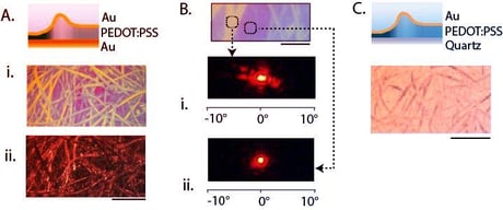 Az átváltozó polimerbőr: színt vált víz hatására