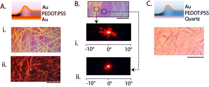 Az átváltozó polimerbőr: színt vált víz hatására
