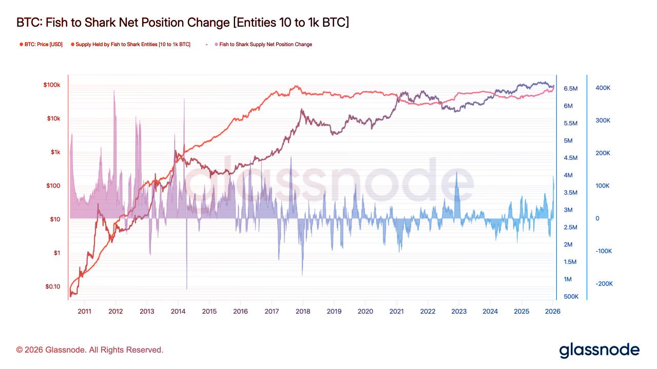 Az éledező bitcoin-éhség: nagyok és kicsik egyszerre vásárolnak