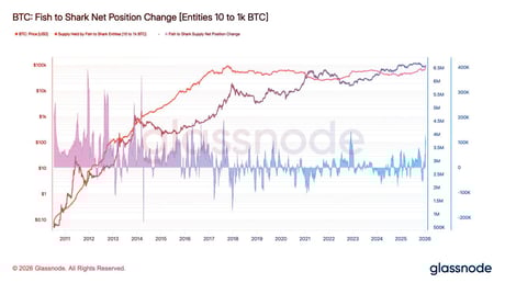 Az éledező bitcoin-éhség: nagyok és kicsik egyszerre vásárolnak