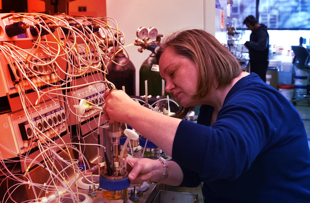 Az élesztő forradalma: műanyag és festék növényekből