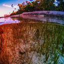 Az eltűnő tengeri fűmezők rejtett kincsei