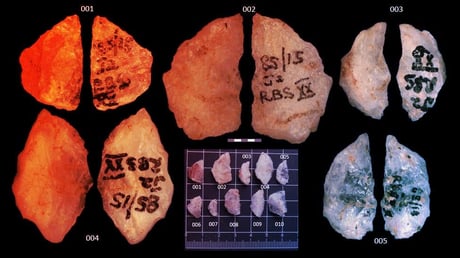 Az emberiség 60 ezer éve mérgezett nyílhegyekkel vadászott