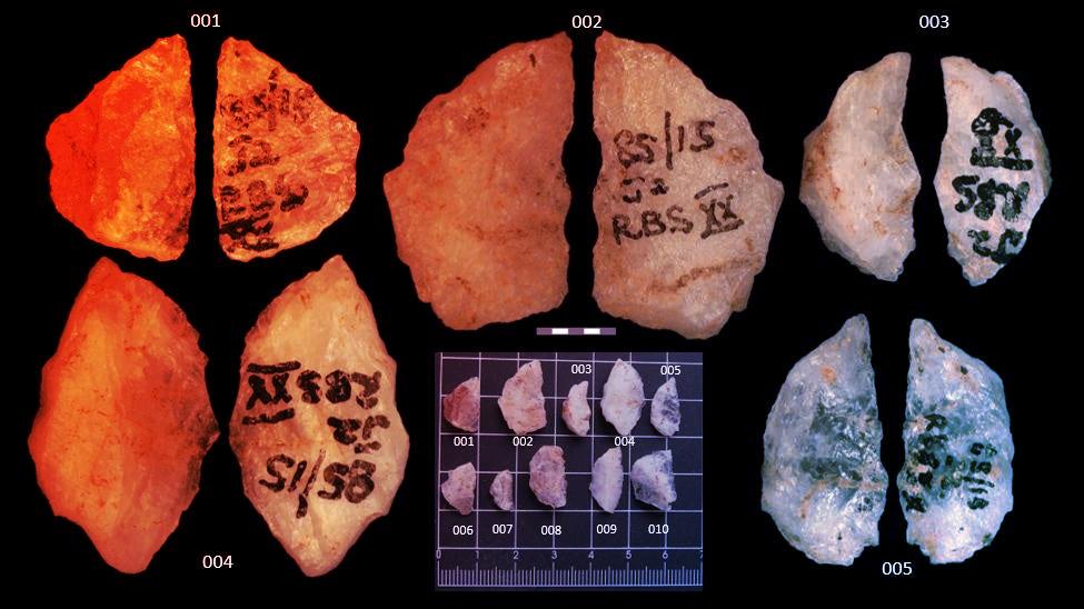 Az emberiség 60 ezer éve mérgezett nyílhegyekkel vadászott