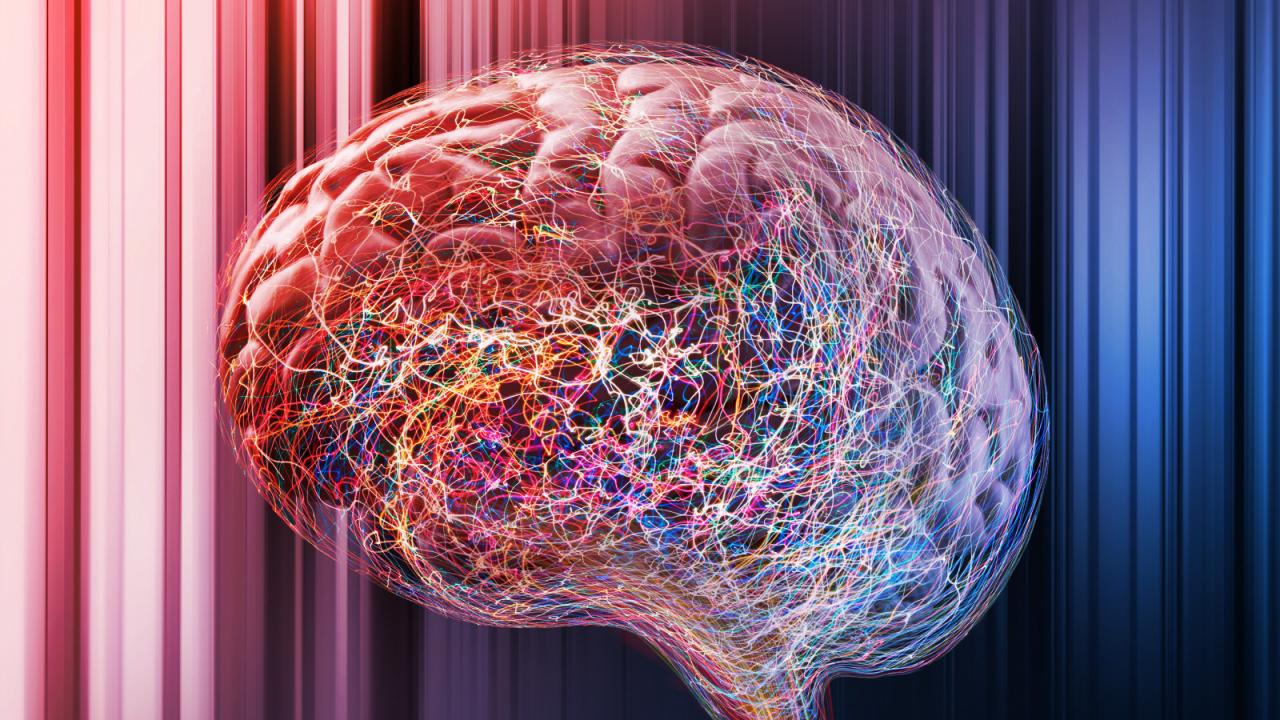 Az epilepszia rejtett tettesei: zombisejtek az agyban?