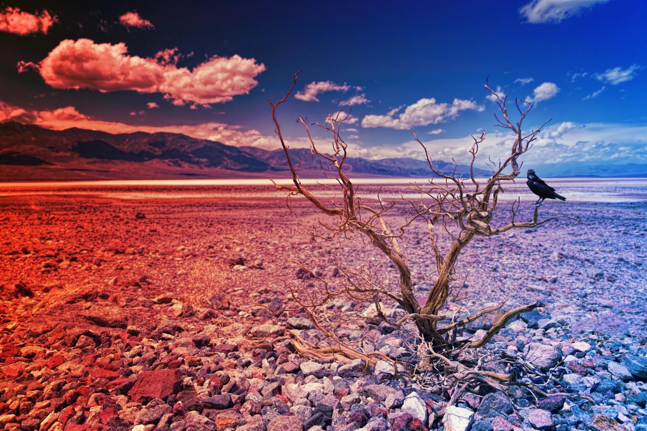 Az esők nem segítenek: egyre súlyosabb aszály vár ránk