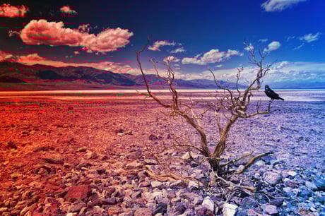 Az esők nem segítenek: egyre súlyosabb aszály vár ránk