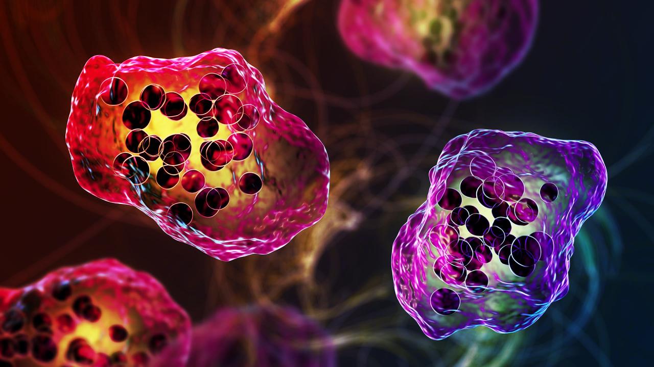 Az évtizedek óta legsúlyosabb kanyarójárvány tombol Dél-Karolinában