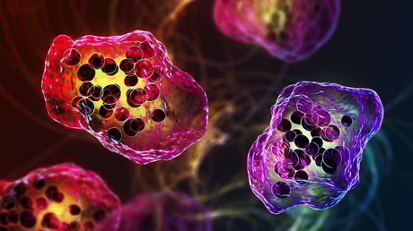 Az évtizedek óta legsúlyosabb kanyarójárvány tombol Dél-Karolinában