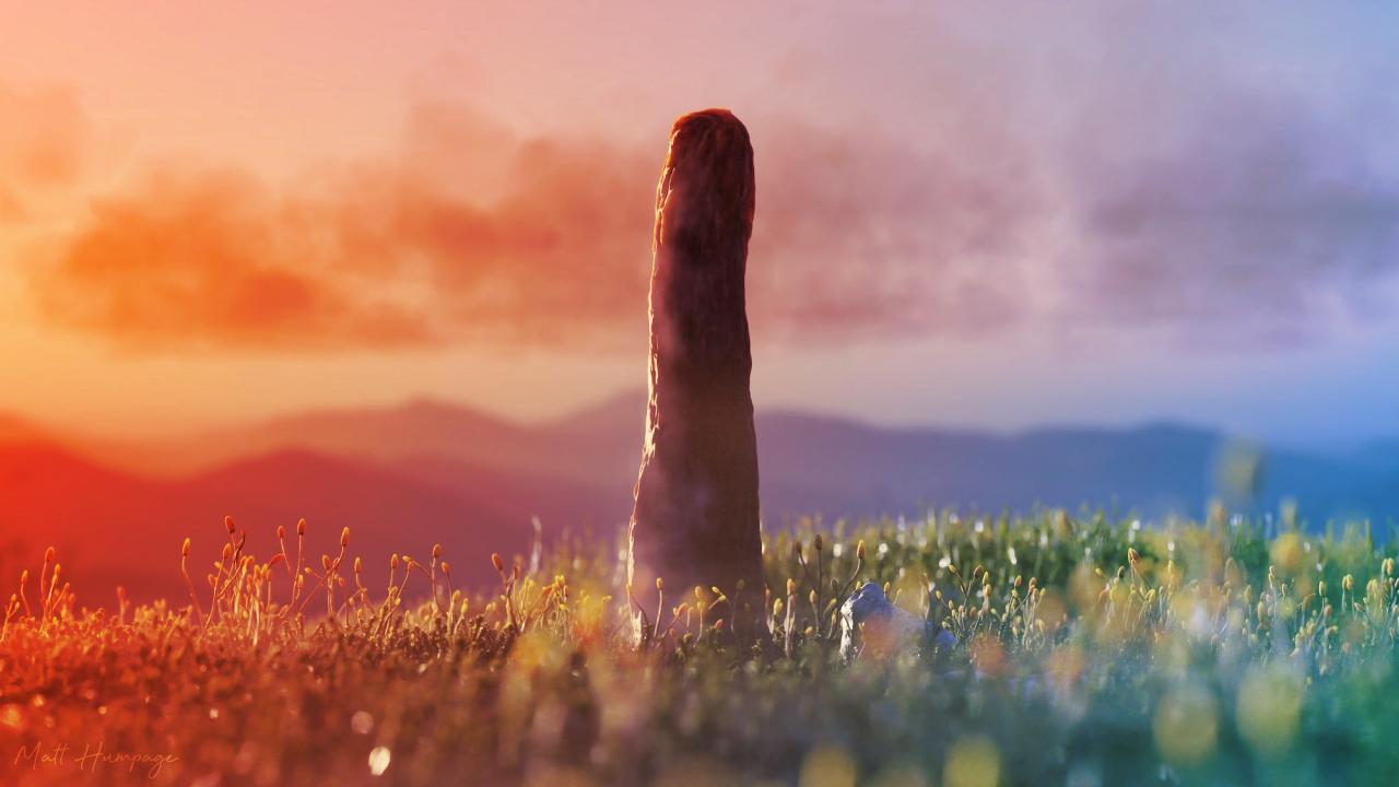 Az ismeretlen óriások nyomában: rejtélyes életforma a múltból