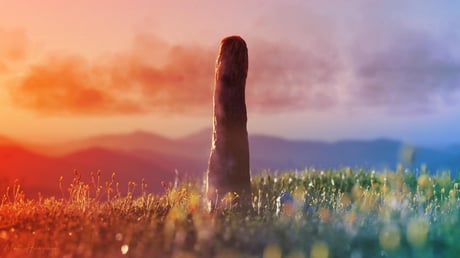 Az ismeretlen óriások nyomában: rejtélyes életforma a múltból