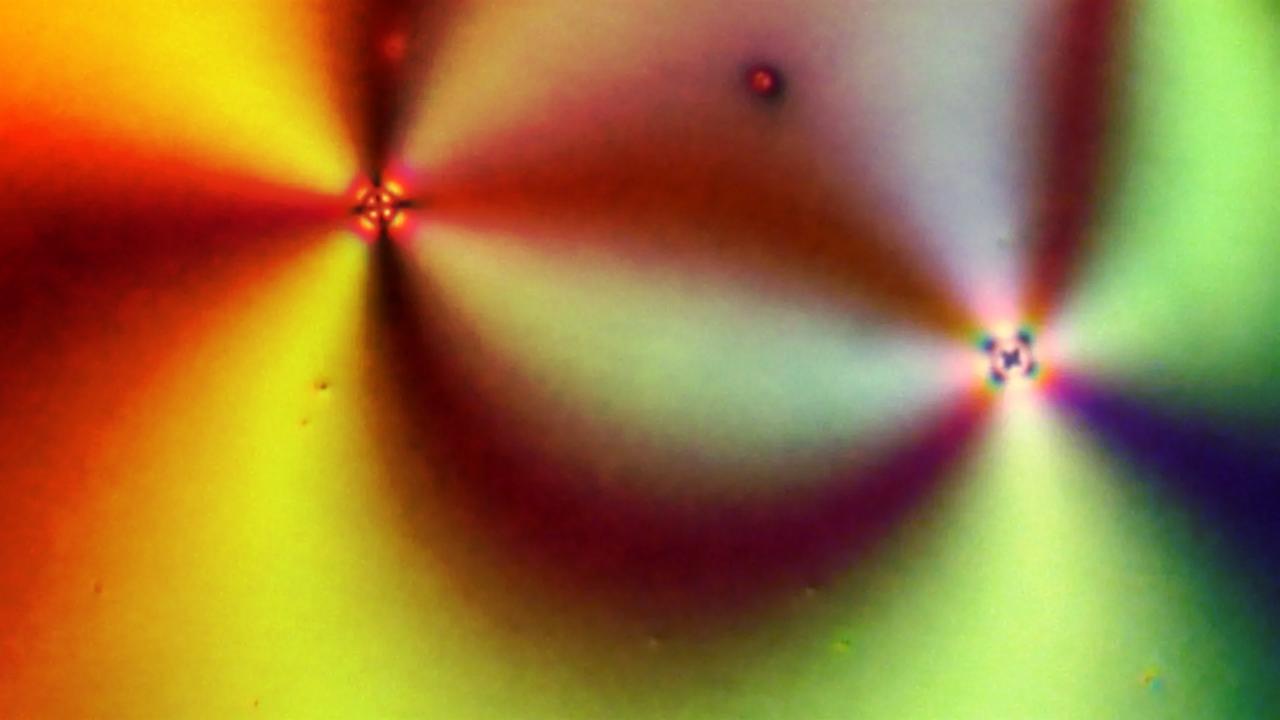 Az MI ezerszer gyorsabban megfejti a természet rejtett mintázatait