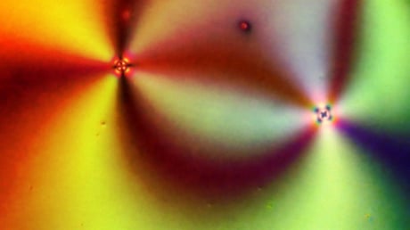 Az MI ezerszer gyorsabban megfejti a természet rejtett mintázatait