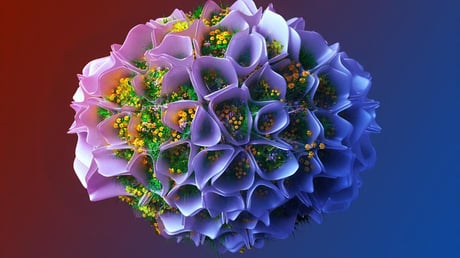 Az ökogazdaságban most a profit írja a szabályokat