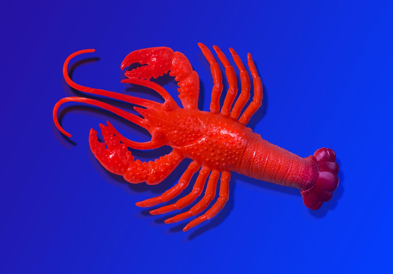 Az OpenClaw MI-asszisztensei közösségi hálót építenek maguknak