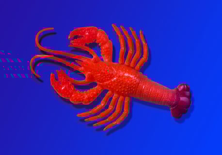 Az OpenClaw MI-asszisztensei közösségi hálót építenek maguknak