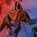 Az optimizmusnak vége: menekül a pénz a Bitcoin ETF-ekből