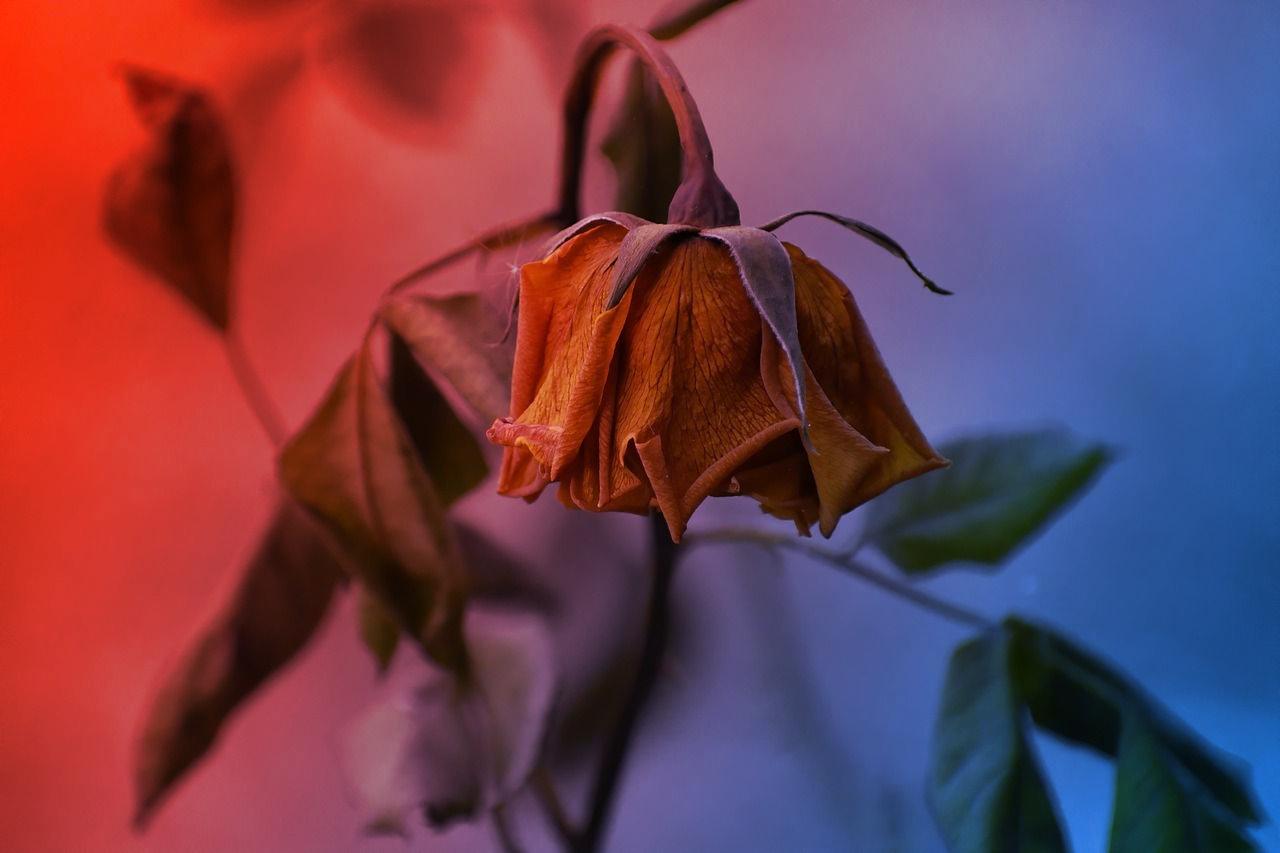 Az optimizmusnak vége: menekül a pénz a Bitcoin ETF-ekből