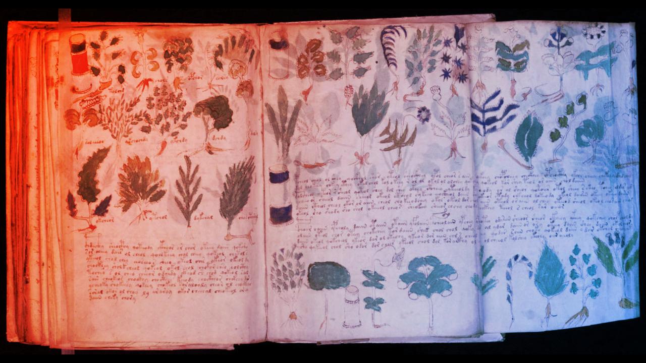 Az ördögi Voynich-kézirat: hamarosan lehull a lepel?
