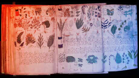 Az ördögi Voynich-kézirat: hamarosan lehull a lepel?