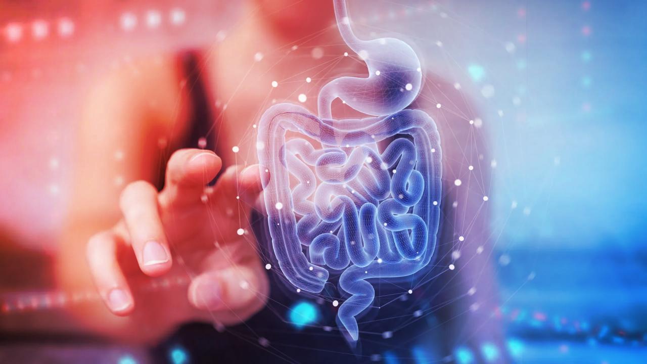 Az öregedő bél láthatatlan hibái növelik a rákkockázatot