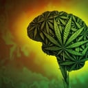 Az orvosi kannabisz nem csodaszer: idegfájdalomra hatástalan