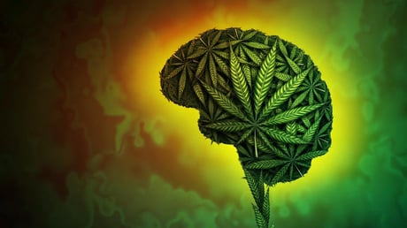 Az orvosi kannabisz nem csodaszer: idegfájdalomra hatástalan