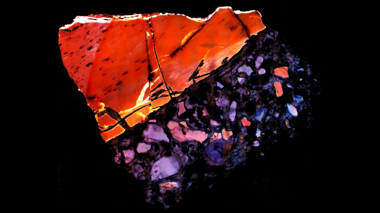 Az ősi csontok vallanak: élet, betegségek és klíma a múltból