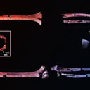 Az ősi Homo habilis csontváz átírhatja az emberi evolúciót