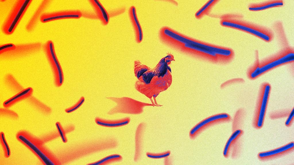 Az összes bolt polcairól eltűnik a listeriás csirkemell